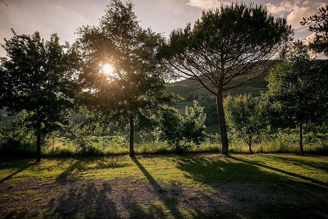 Photo of Outdoor in Pieve di Chio