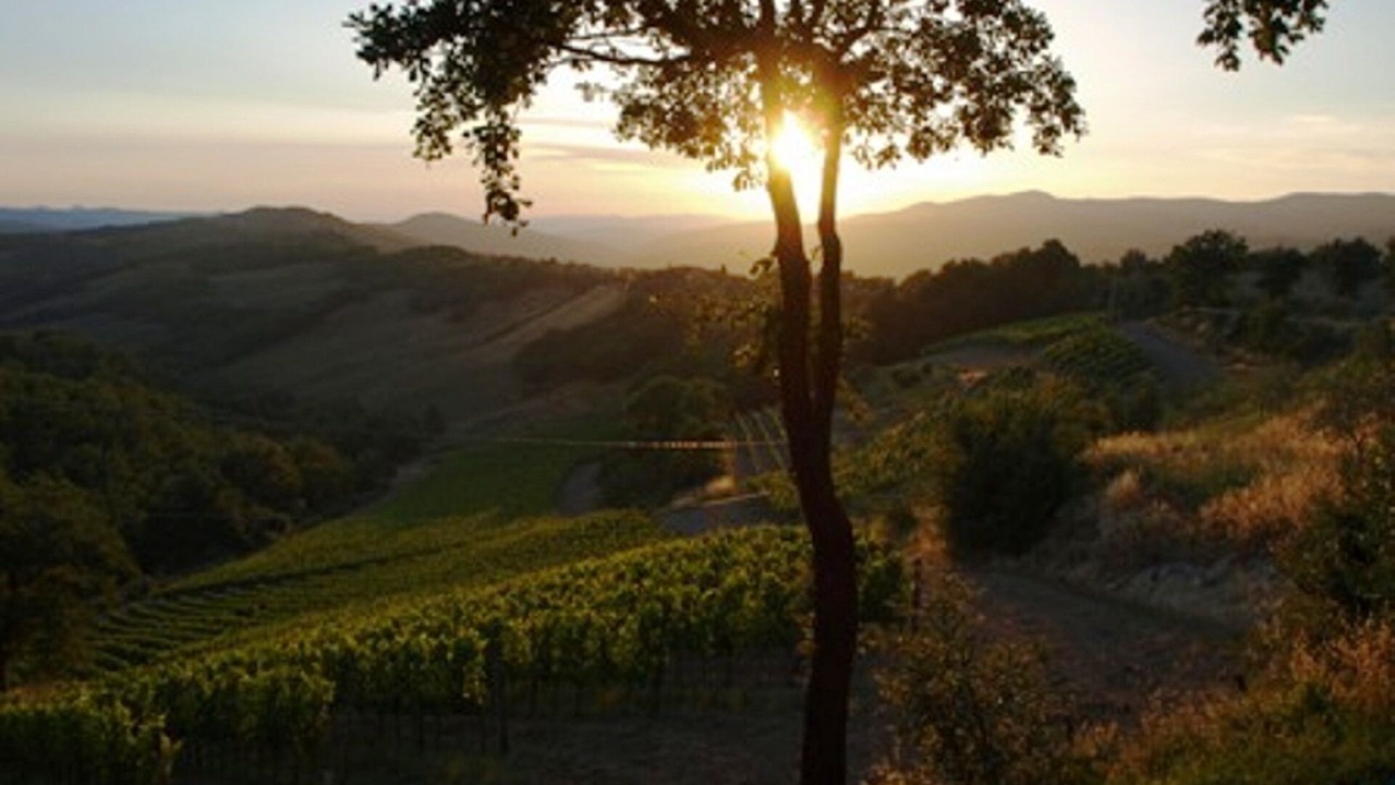 Photo of Others in Monteguidi
