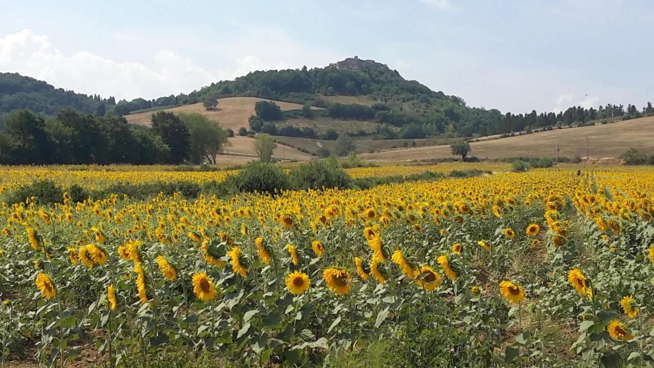 Photo of Outdoor in Monteguidi