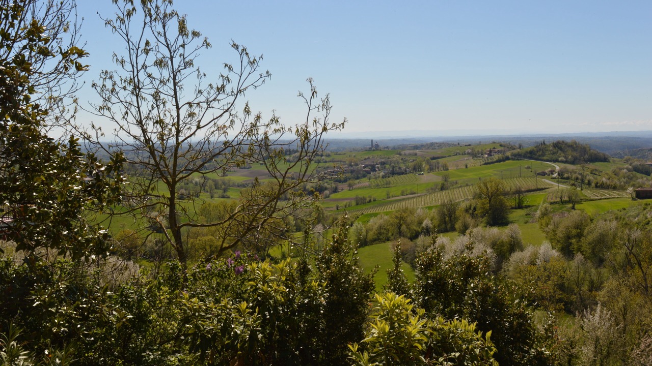 Photo of Others in Cocconato