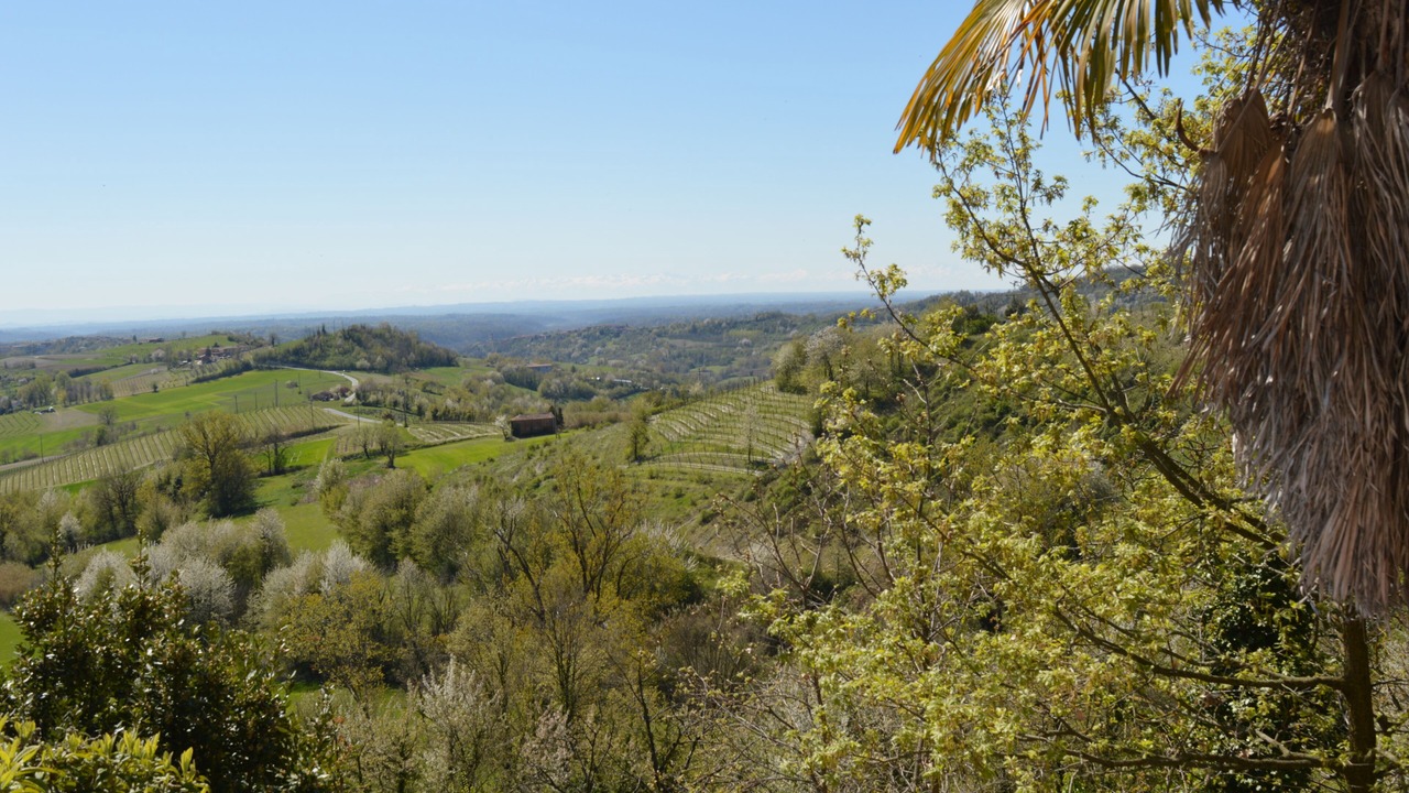 Photo of Others in Cocconato