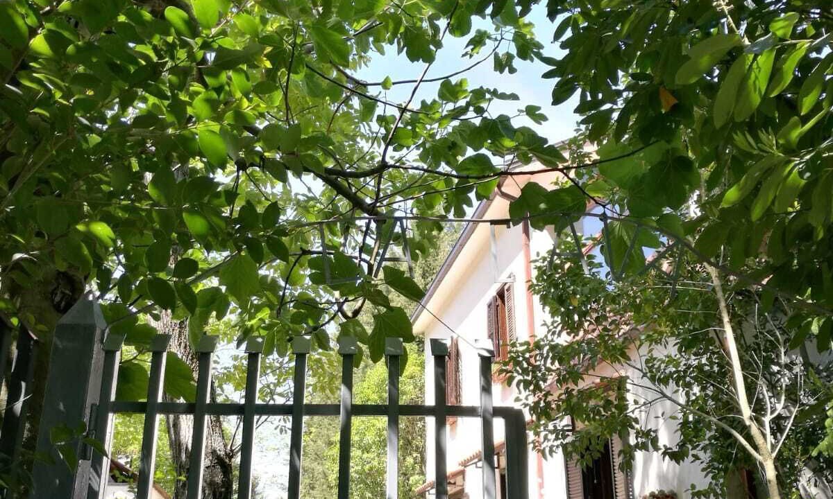 Photo of Outdoor in Pietramelara