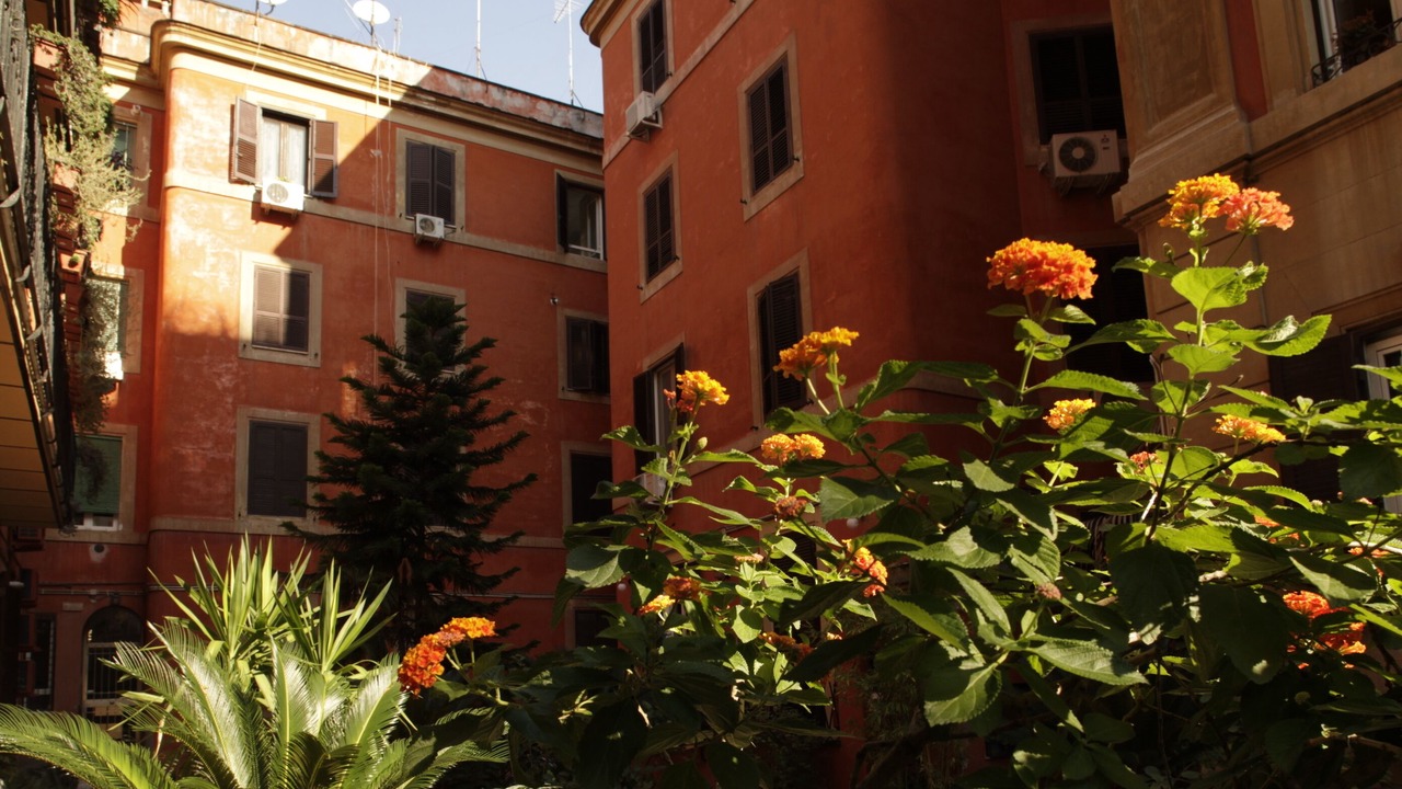 Photo of Outdoor in Vatican