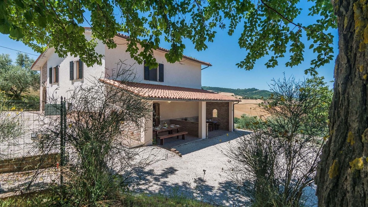 Photo of Outdoor in Pergola