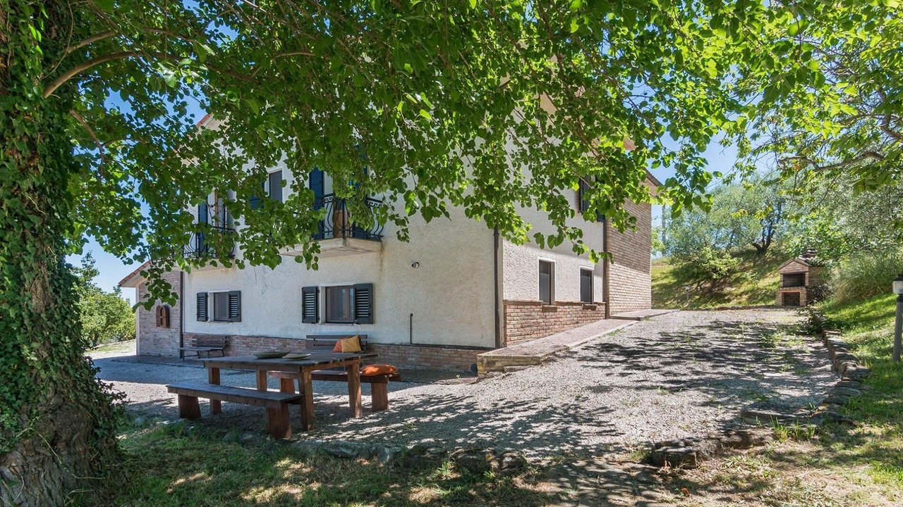 Photo of Outdoor in Pergola