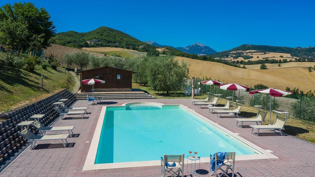 Photo of Outdoor in Pergola