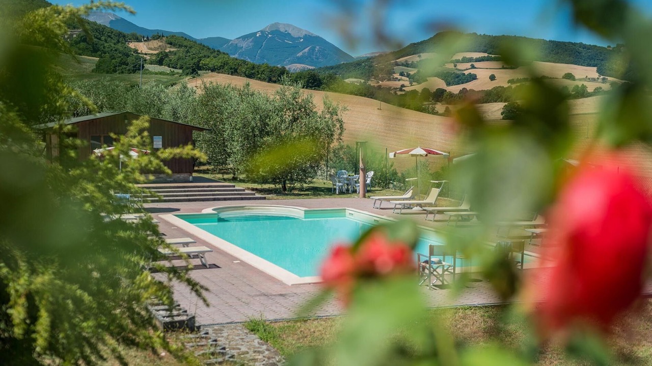 Photo of Outdoor in Pergola