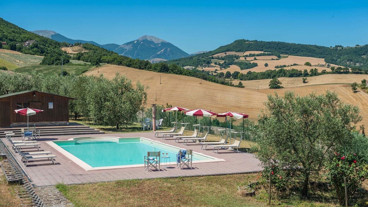 Photo of Outdoor in Pergola