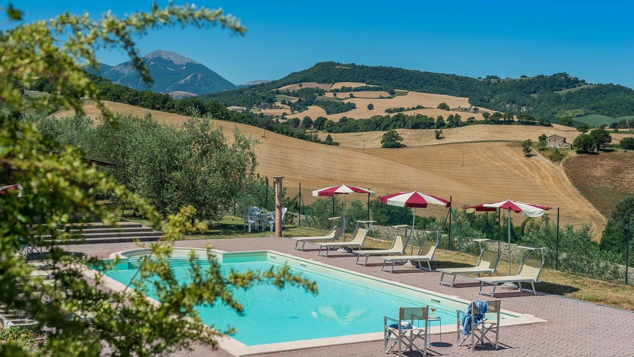 Photo of Outdoor in Pergola