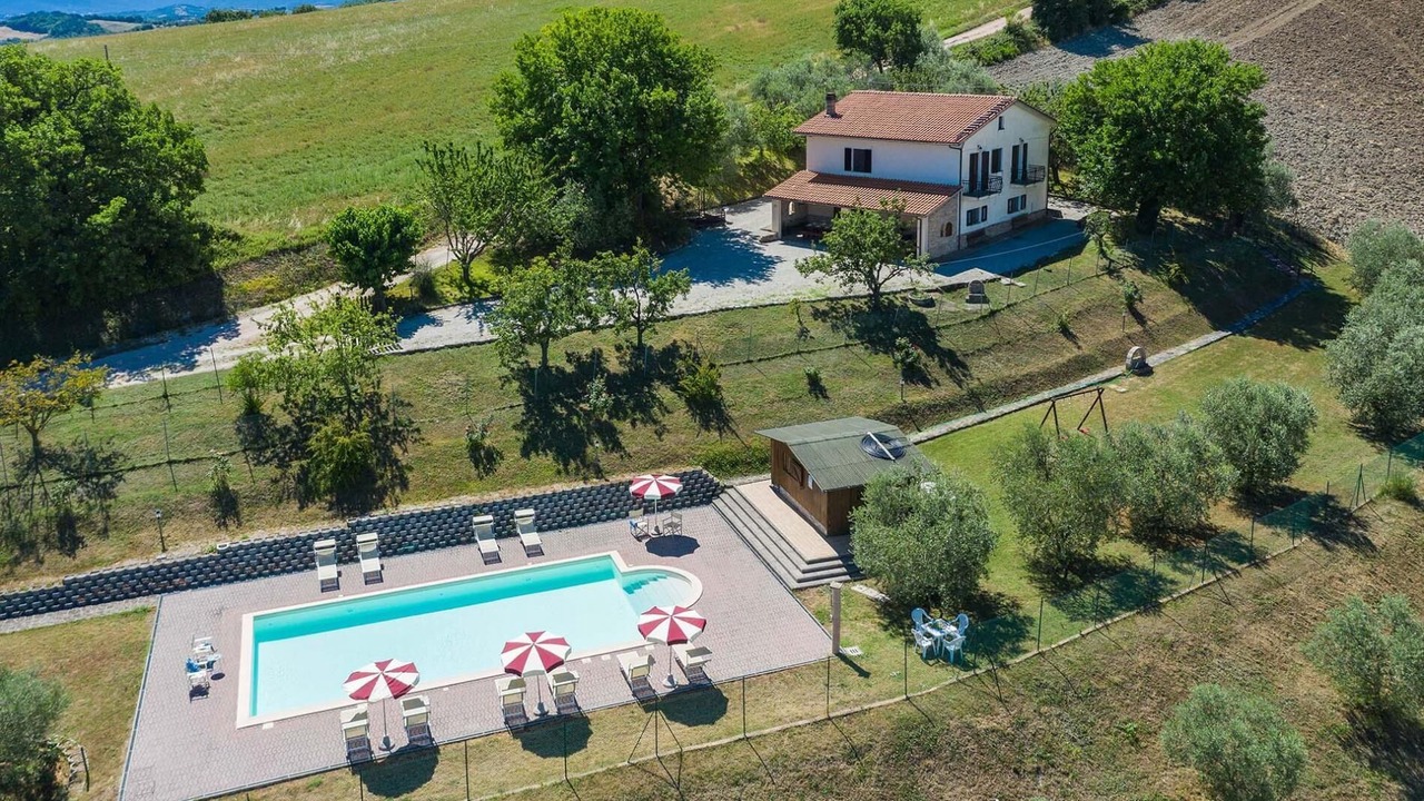 Photo of Outdoor in Pergola