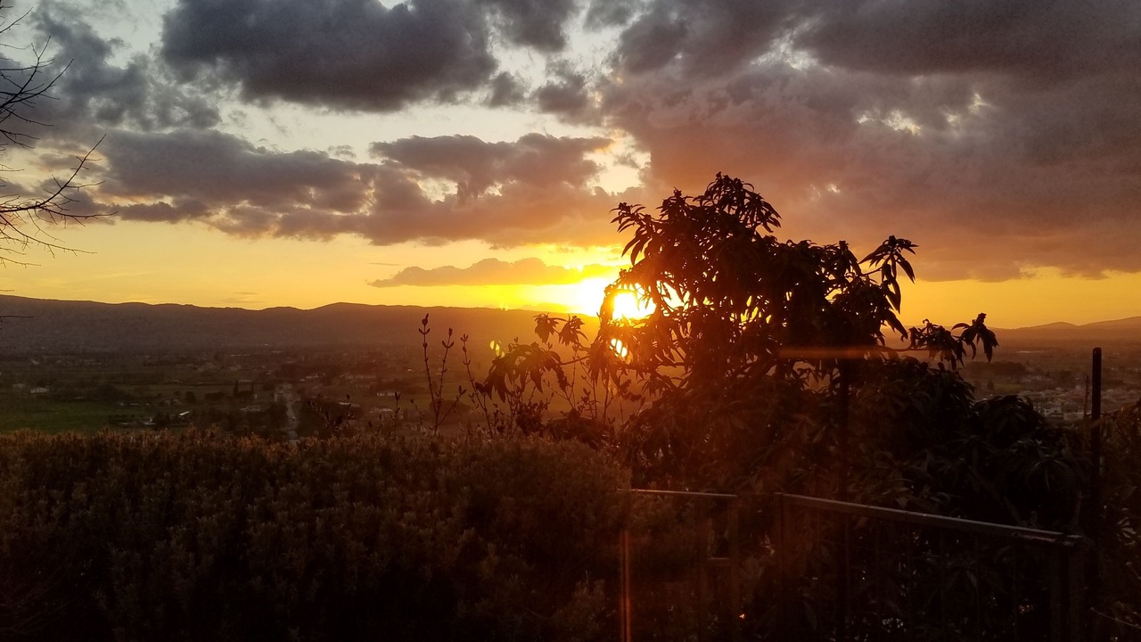 Photo of Others in Spello