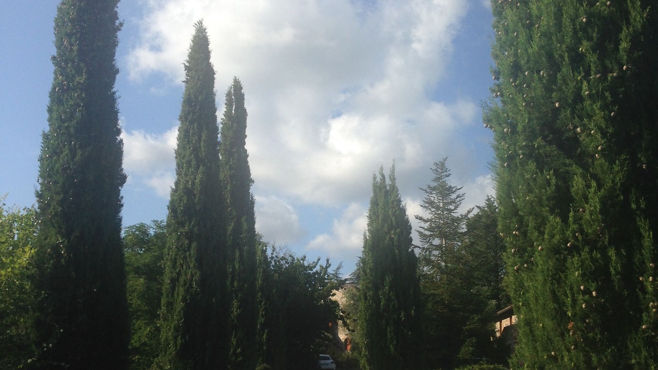 Photo of Outdoor in Mengara
