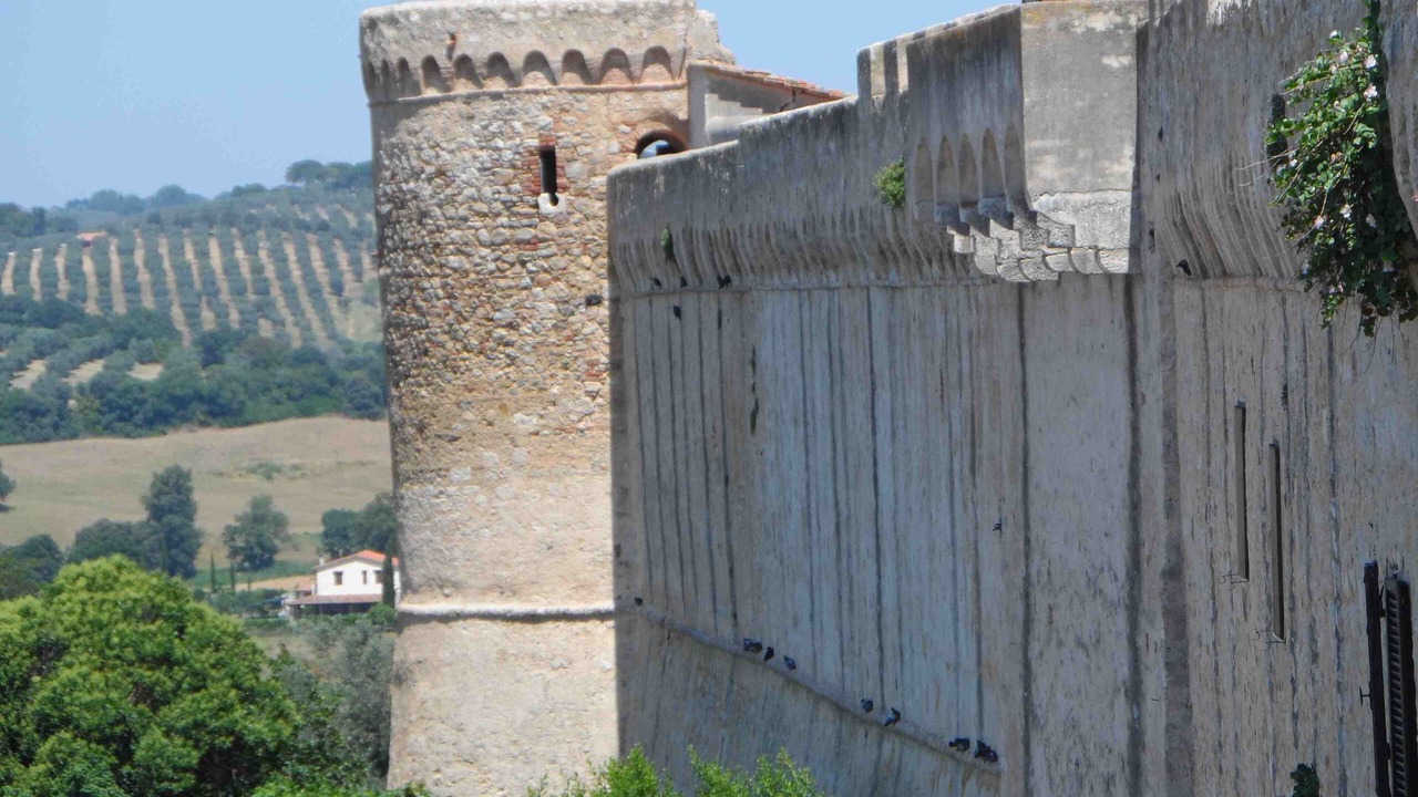 Photo of Others in Magliano in Toscana