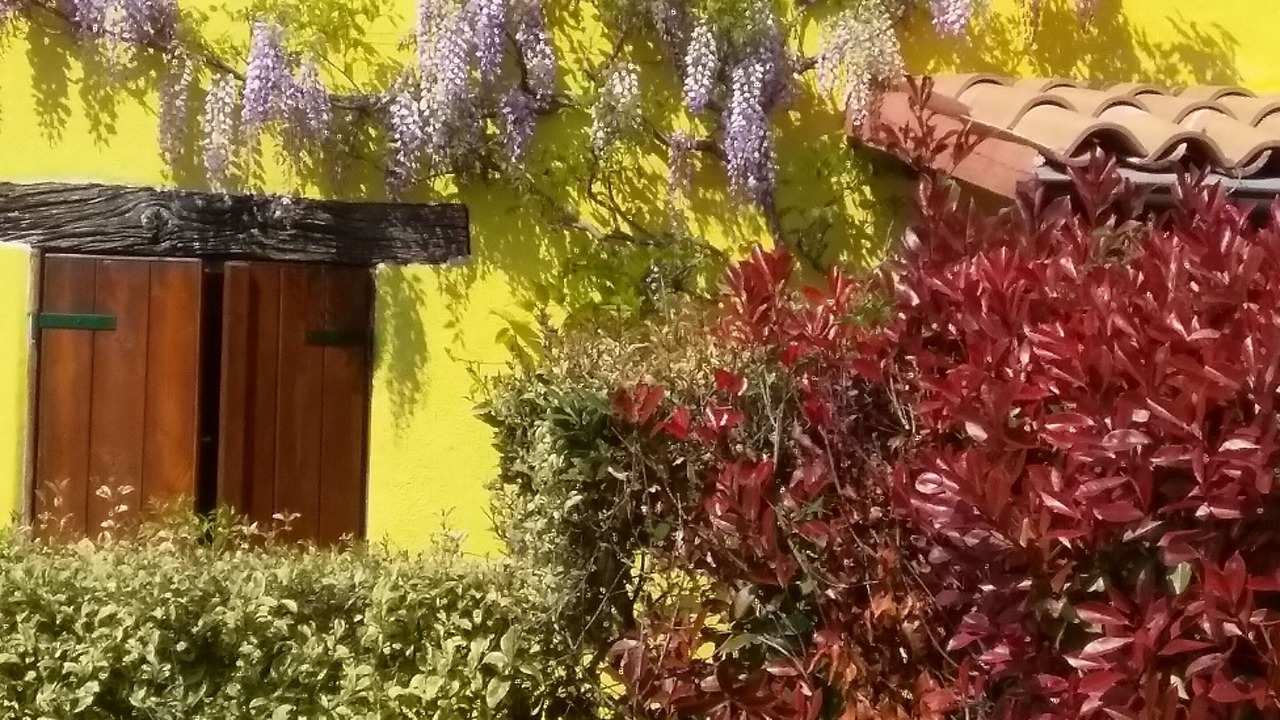 Photo of Outdoor in Ancona