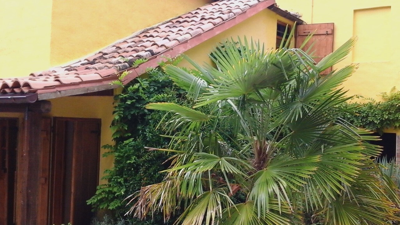 Photo of Outdoor in Ancona