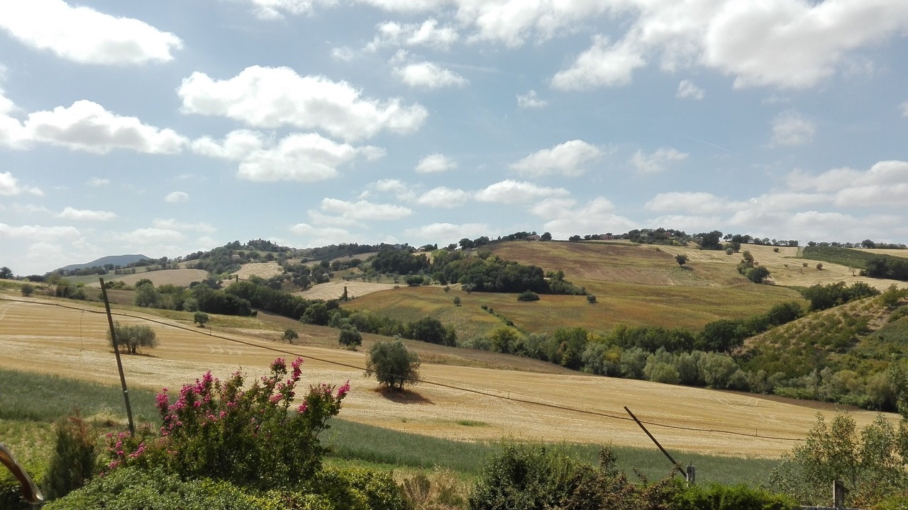 Photo of Others in Ancona