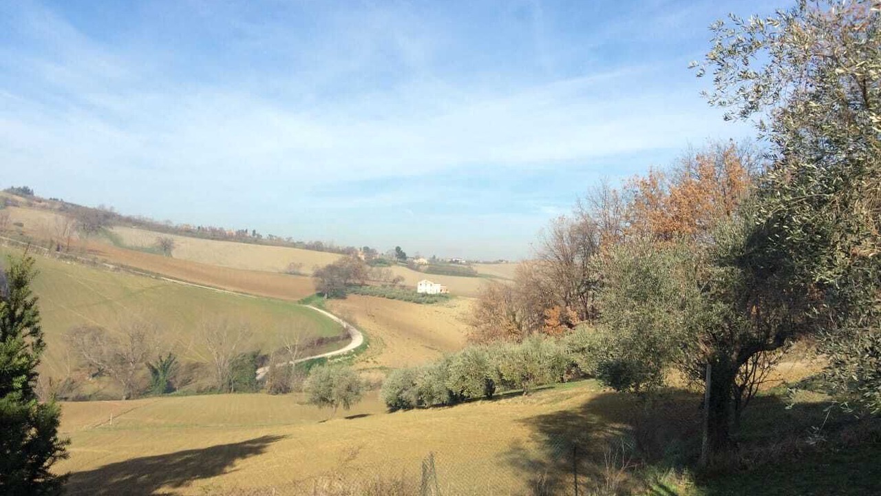 Photo of Outdoor in Ancona