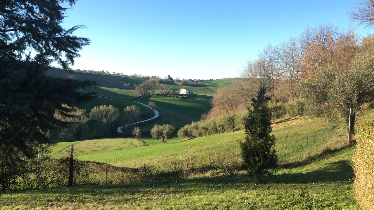 Photo of Others in Ancona