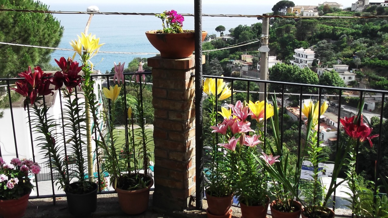 Photo of Outdoor in Vietri sul Mare