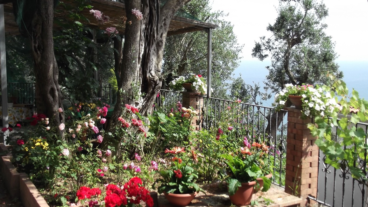 Photo of Outdoor in Vietri sul Mare