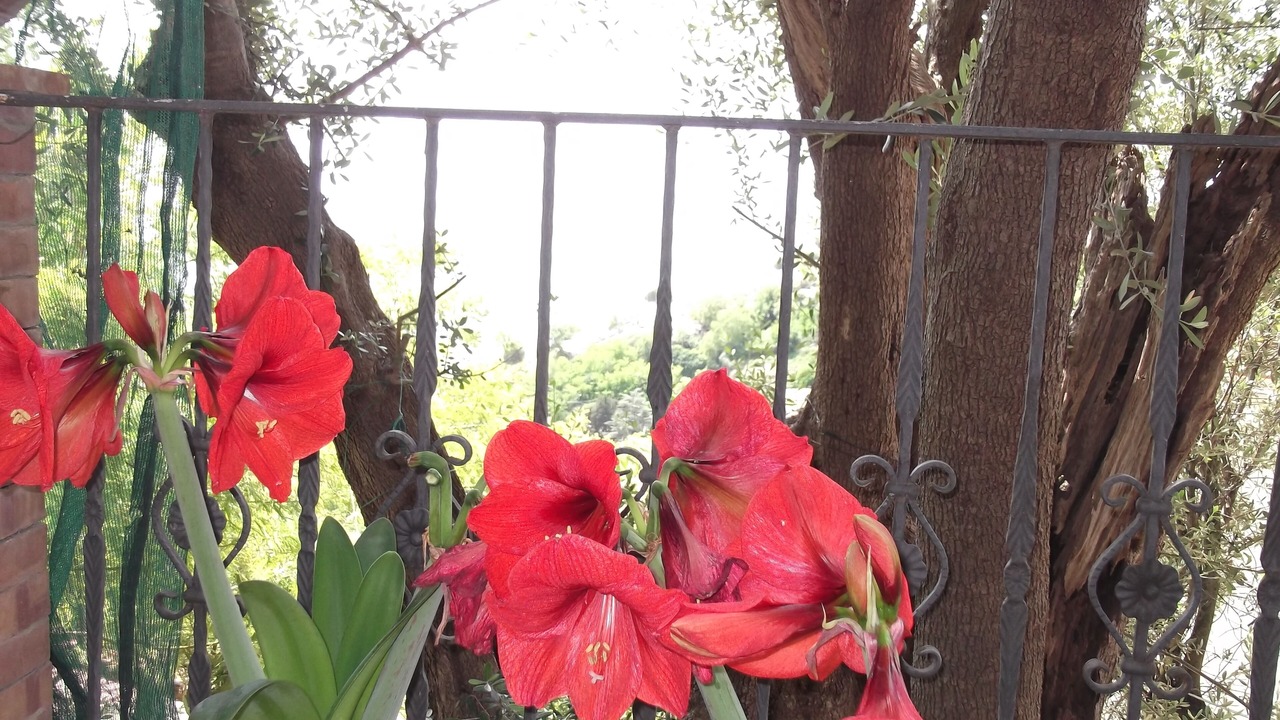 Photo of Outdoor in Vietri sul Mare