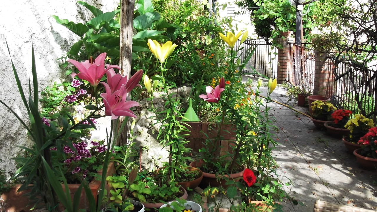 Photo of Outdoor in Vietri sul Mare