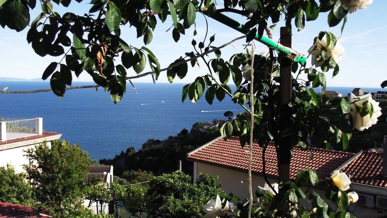 Photo of Others in Vietri sul Mare