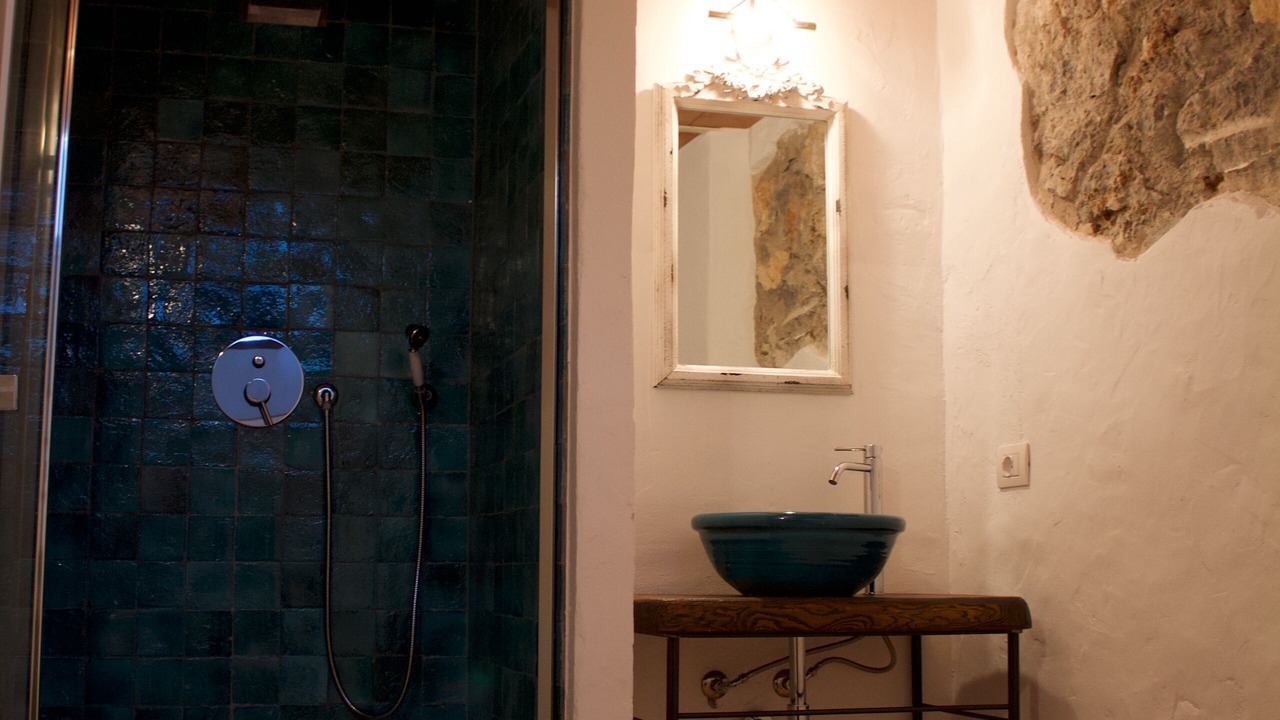 Photo of Bathroom in Ansedonia