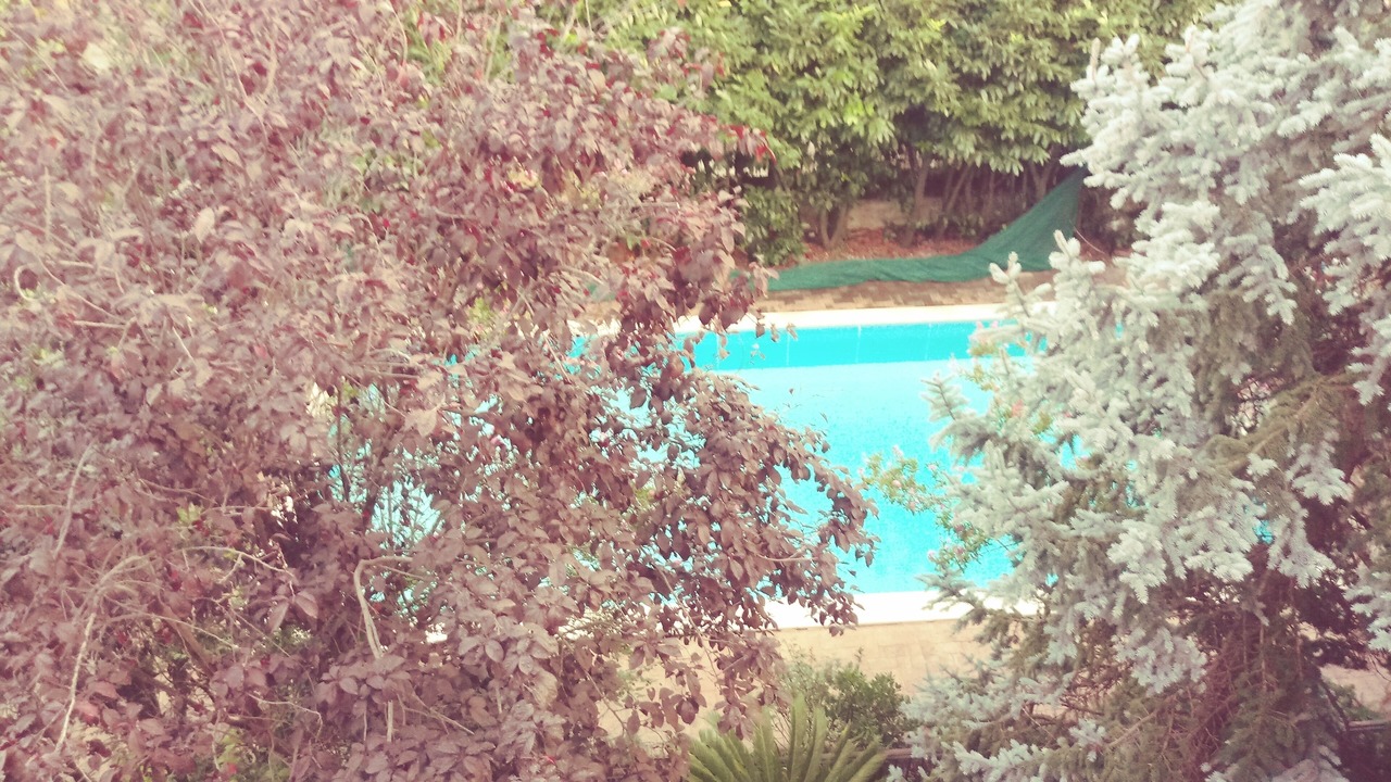 Photo of Outdoor in Ogliara