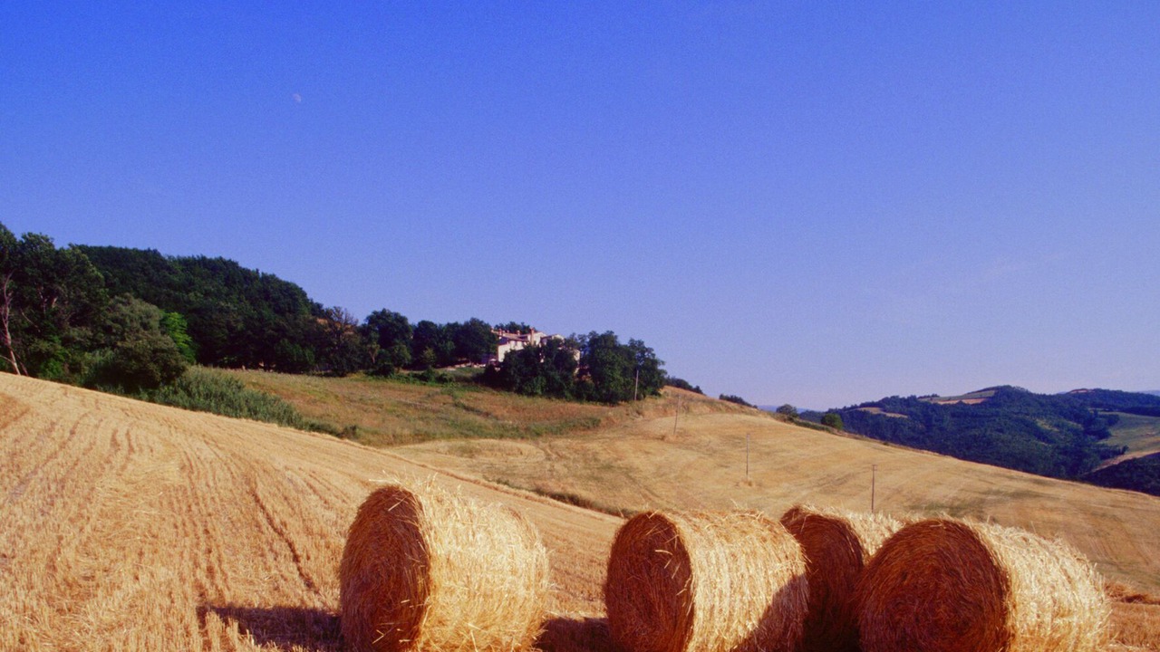 Photo of Others in Cagli