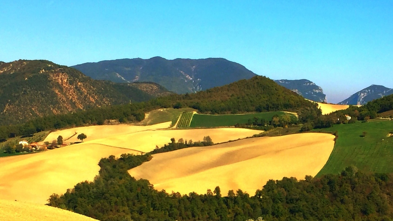 Photo of Others in Cagli