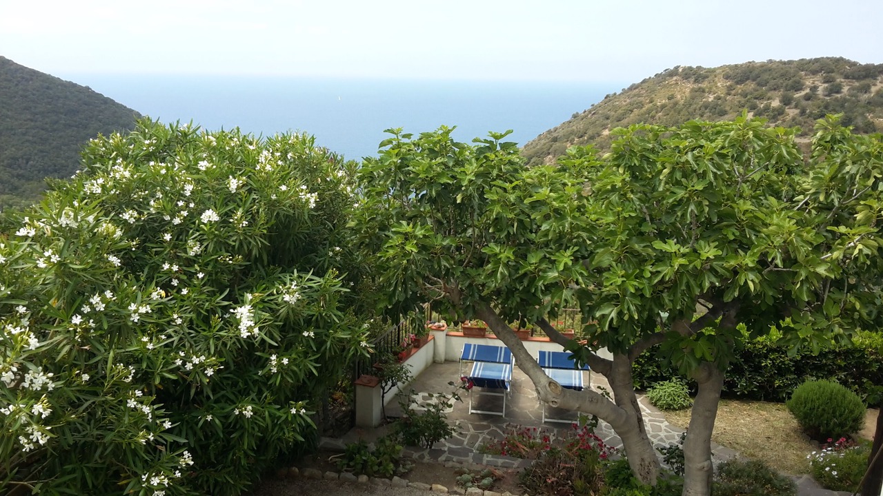Photo of Outdoor in Patresi