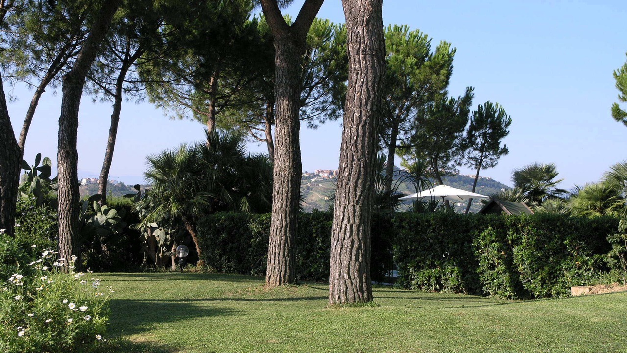 Photo of Outdoor in Citta Sant'Angelo