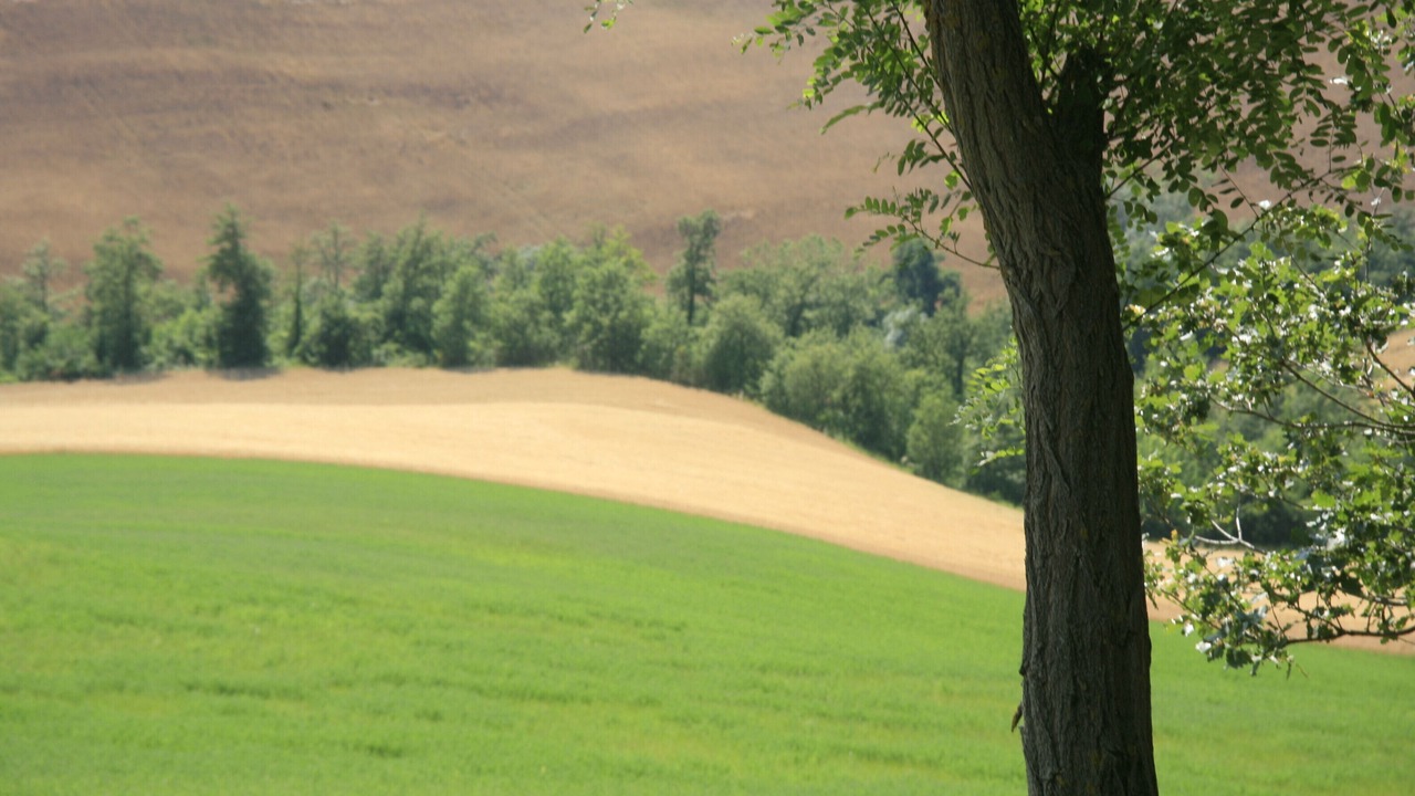 Photo of Others in Cagli