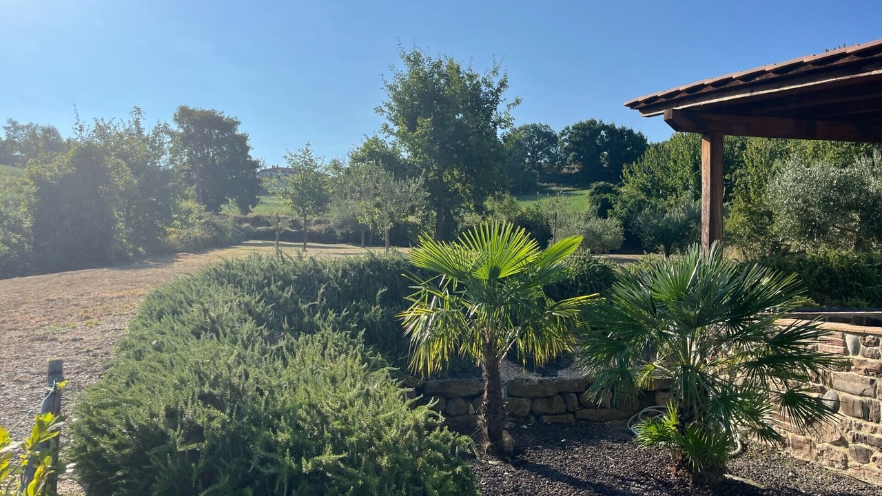 Photo of Outdoor in Pergola