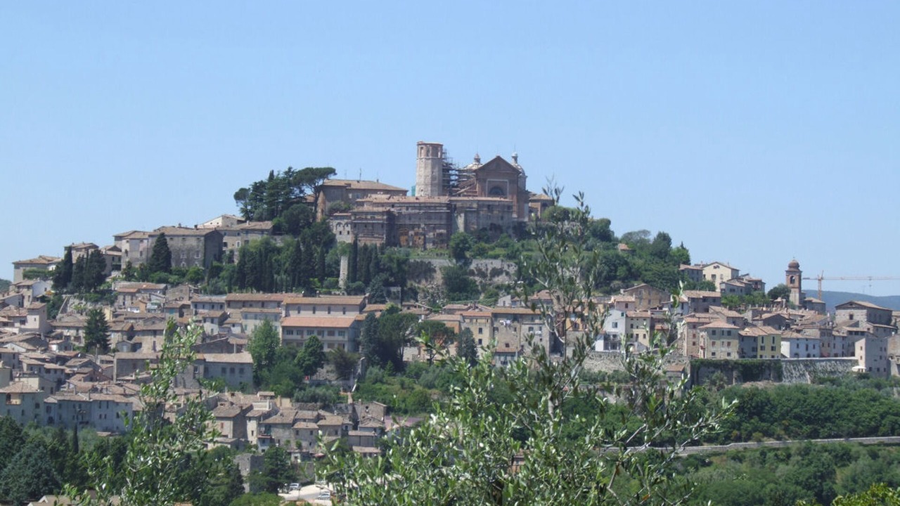 Photo of Others in Foce