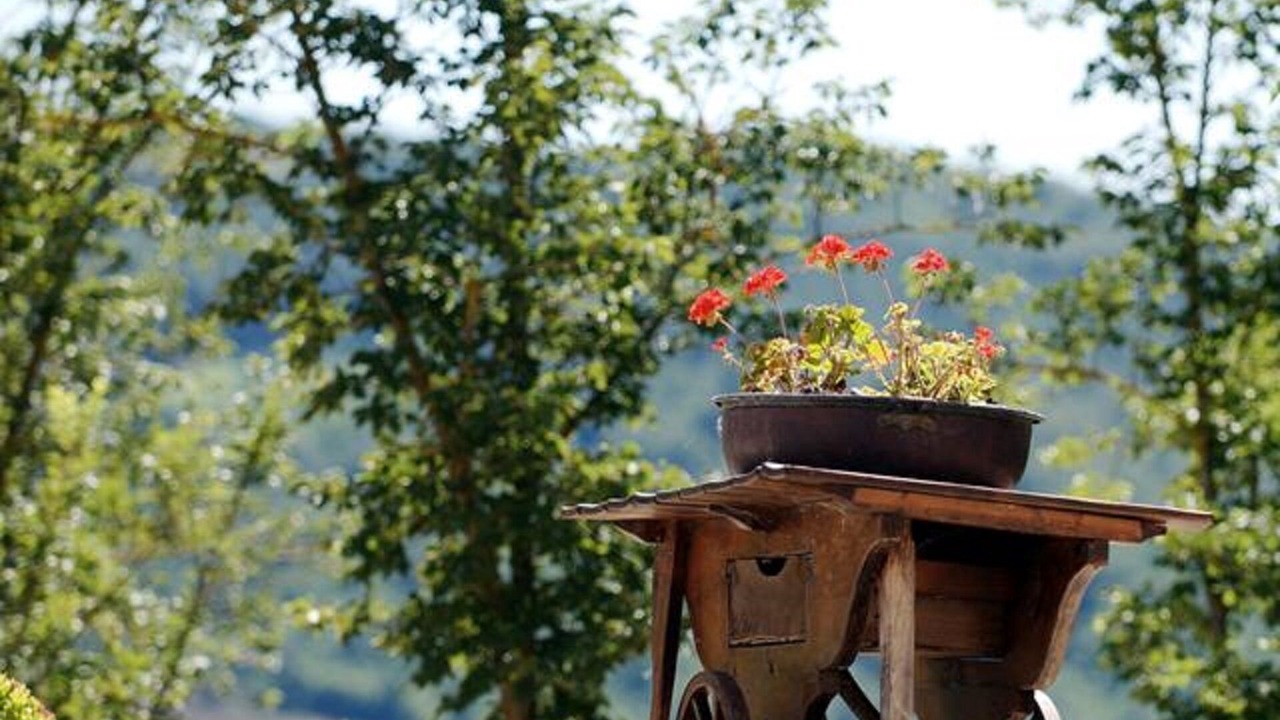 Photo of Outdoor in Monterchi