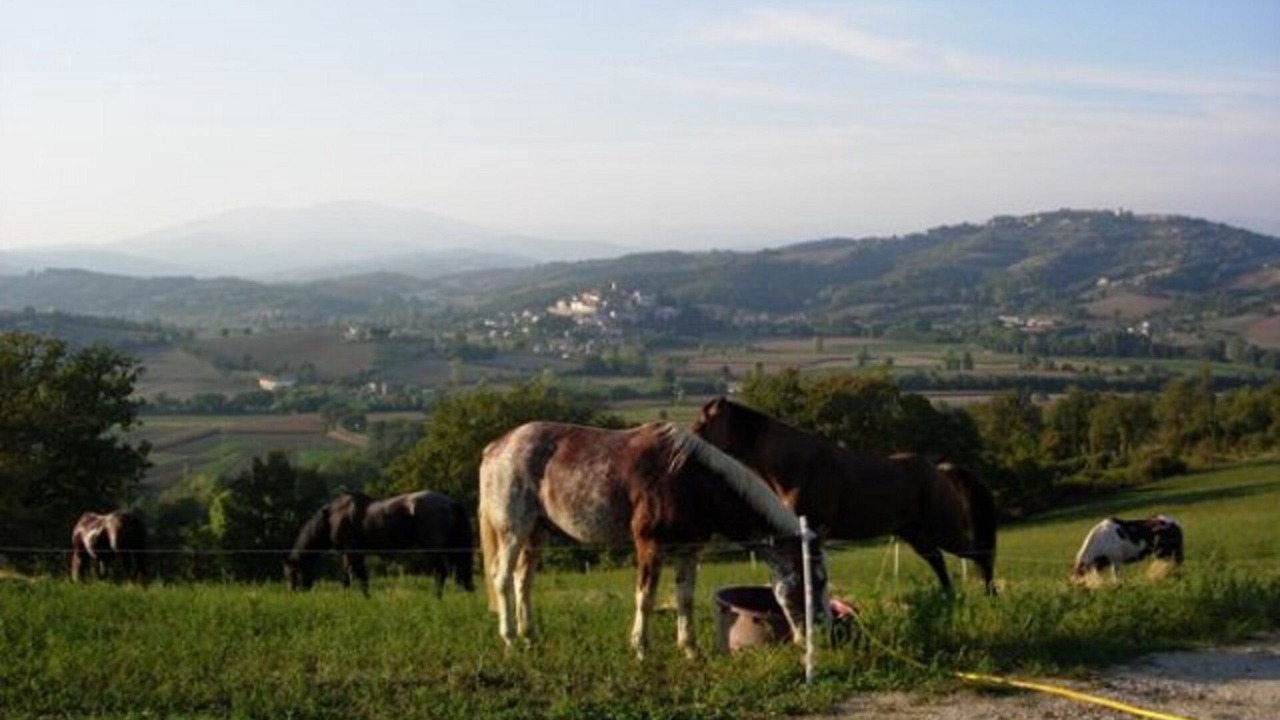 Photo of Others in Monterchi