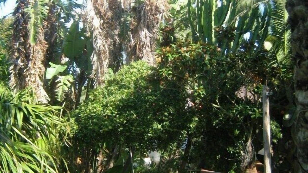 Photo of Outdoor in San Nicolo