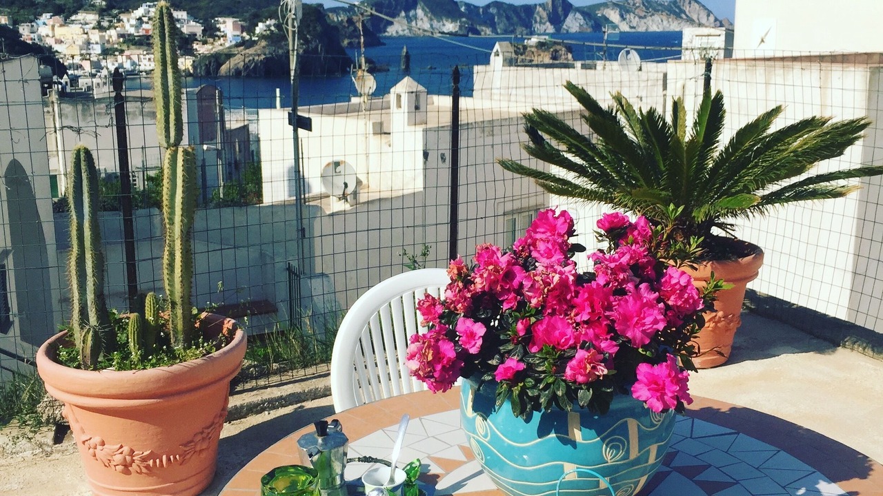 Photo of Outdoor in Ponza