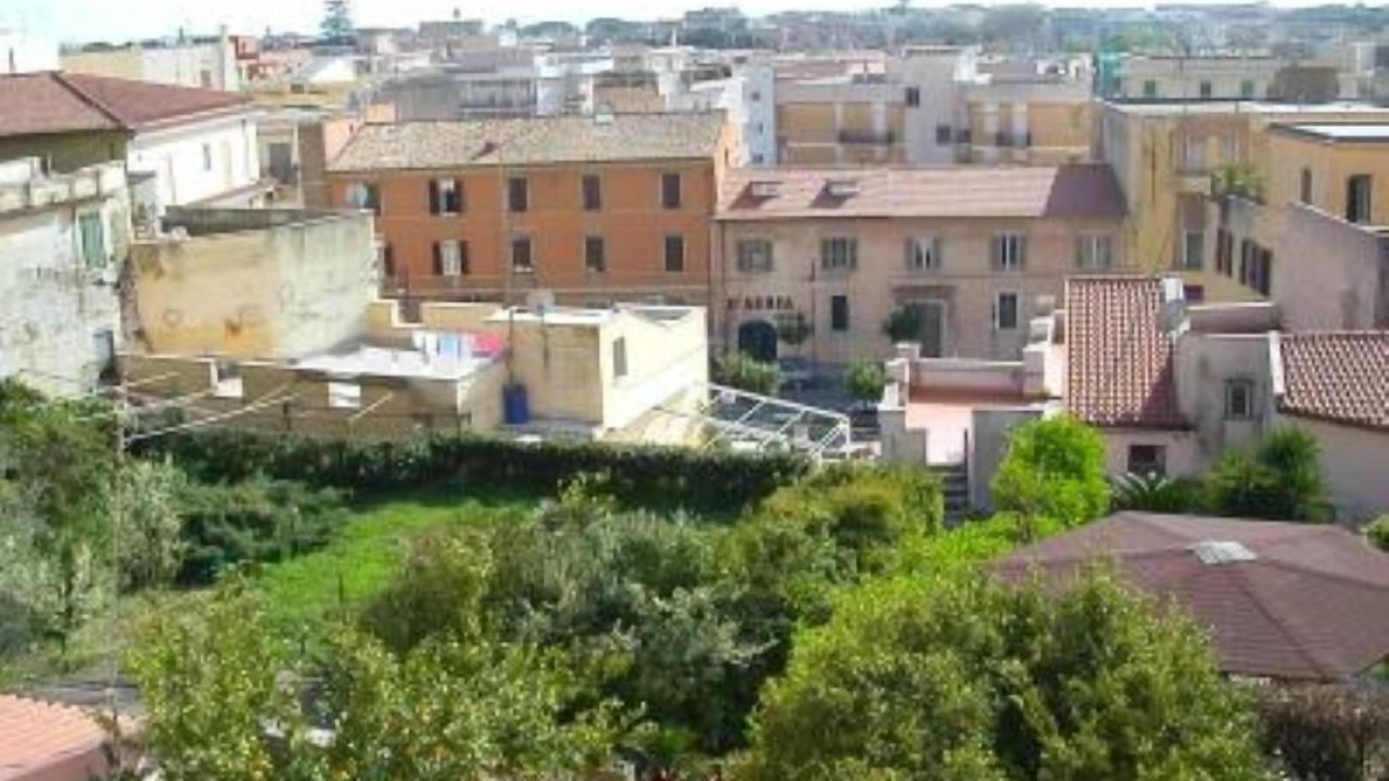 Photo of Others in Terracina
