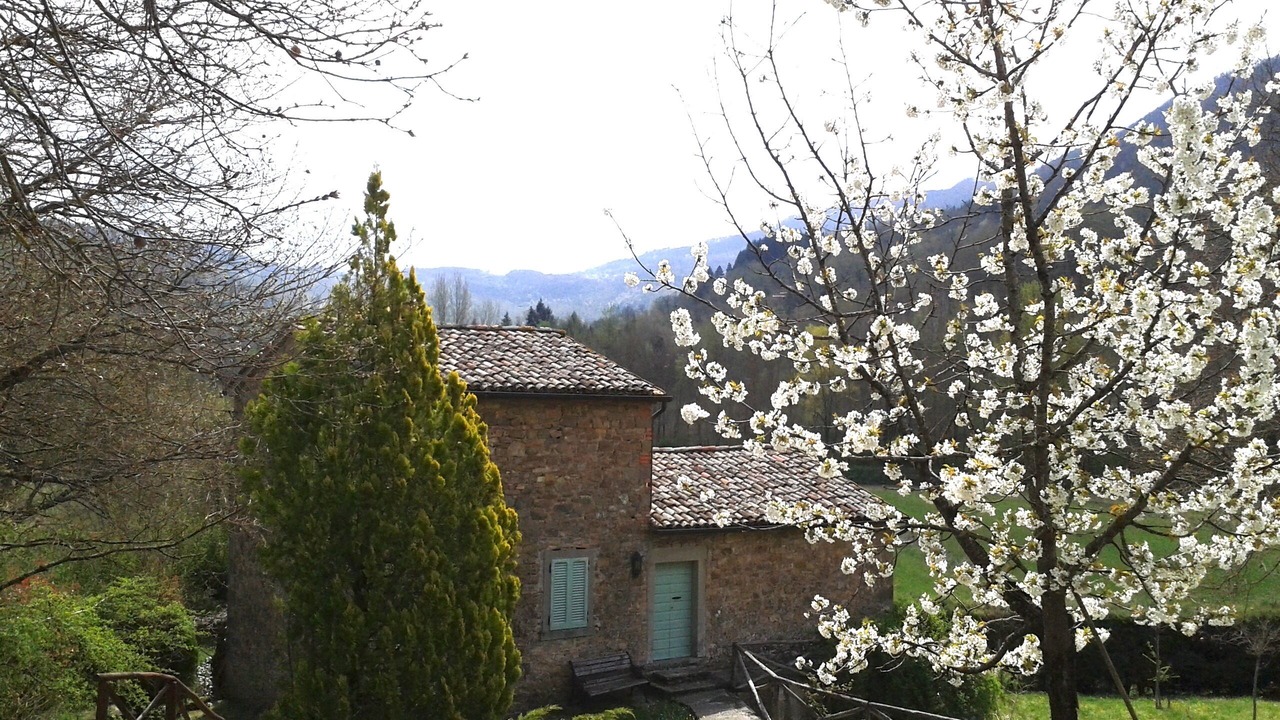 Photo of Outdoor in Bivio Lugnano