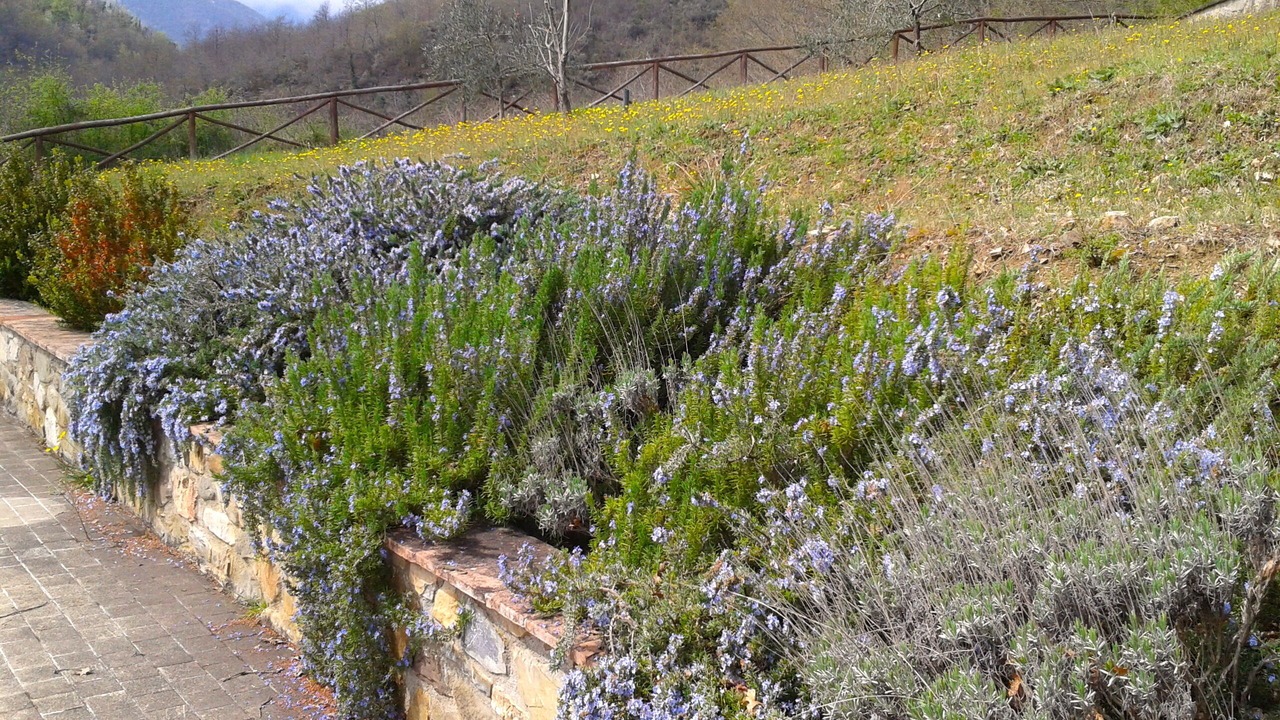 Photo of Outdoor in Bivio Lugnano