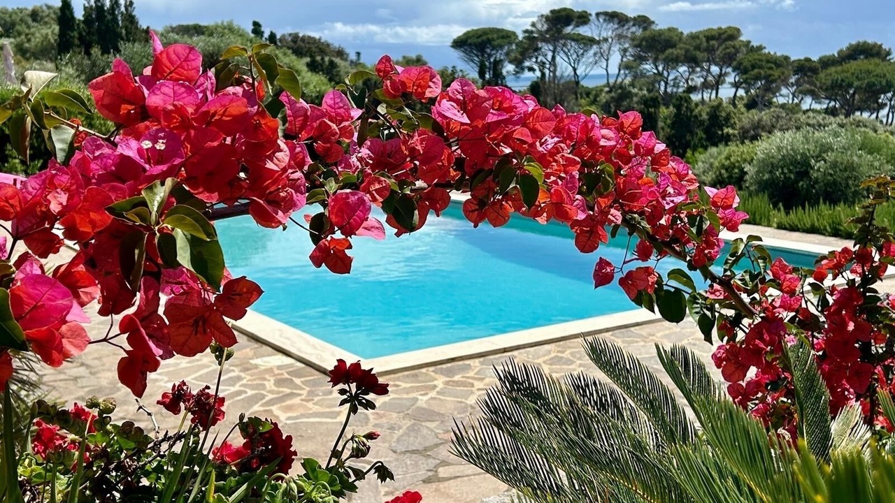 Photo of Outdoor in Ansedonia