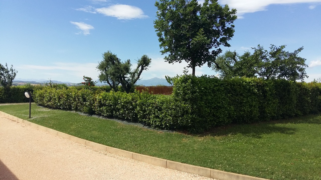 Photo of Outdoor in Francavilla d'Ete