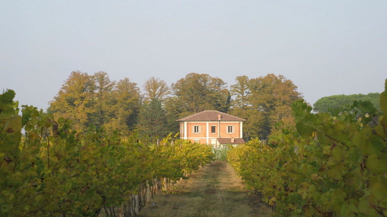 Photo of Outdoor in Imola