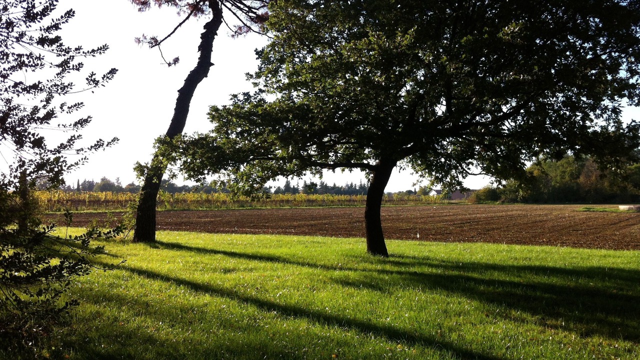 Photo of Outdoor in Imola
