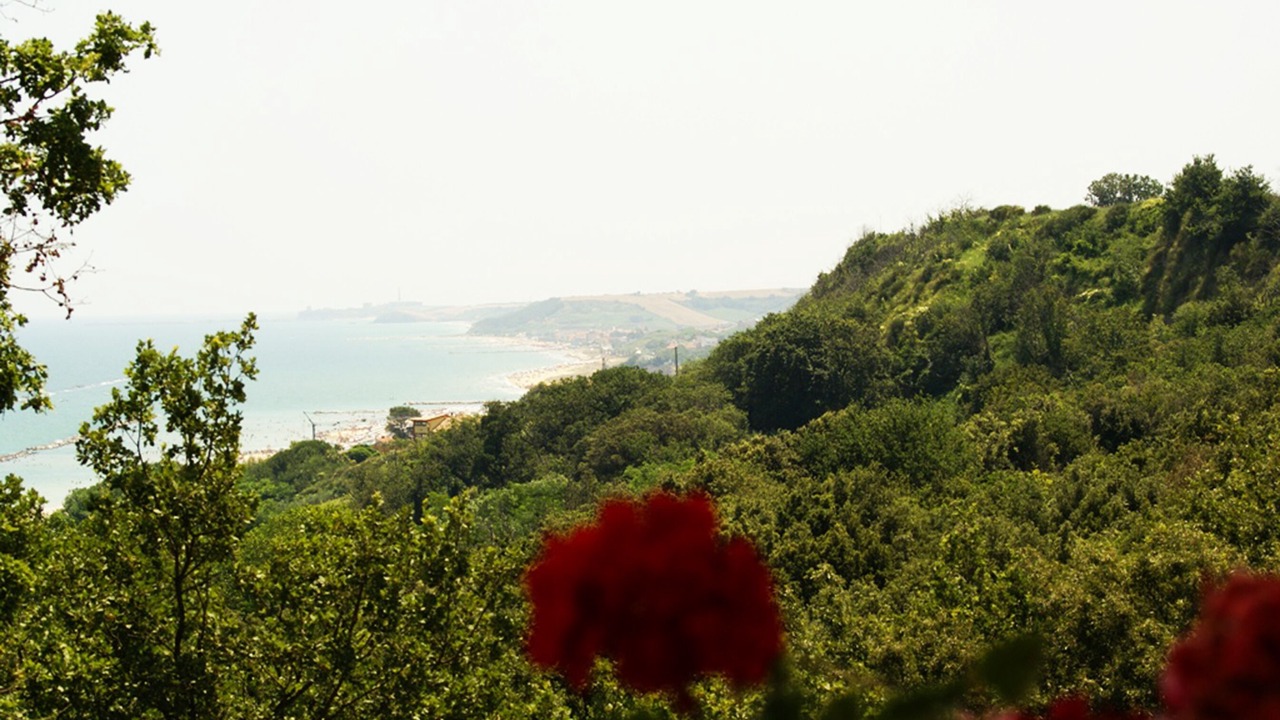 Photo of Others in Torino di Sangro