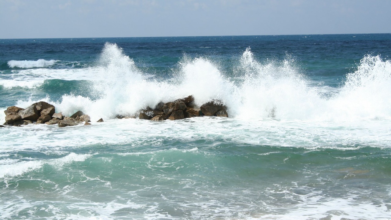 Photo of Others in Alani