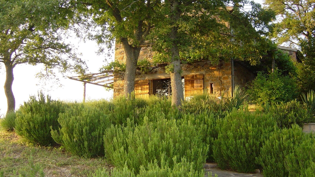 Photo of Outdoor in Sorano